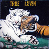 lion and white tiger