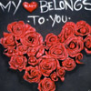 heart photography backdrop