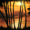 palm trees