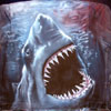 Jaws