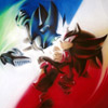 Sonic vs Shadow
